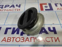 Болт крепления запасного колеса Opel Antara (С145) 4818635.