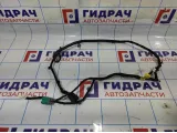 Проводка двери багажника Opel Antara (С145) 20976394.