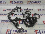 Проводка (коса) подкапотная Opel Antara (С145) 95076240.