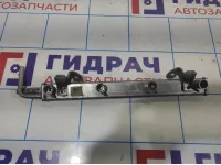 Рейка топливная (рампа) Opel Antara (С145) 12602482.