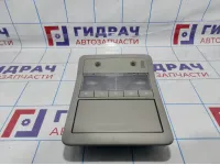 Плафон салонны Opel Antara (С145) 96673452