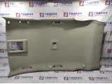 Обшивка потолка Opel Antara (С145) 4811466