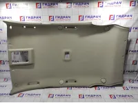 Обшивка потолка Opel Antara (С145) 4811466