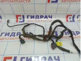 Проводка двери передней правой Opel Antara (С145) 95491035