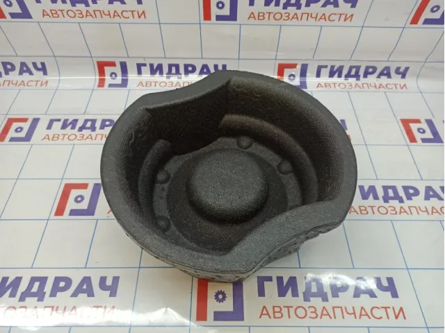 Ниша запасного колеса Opel Antara (С145) 96859171