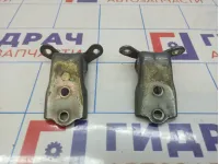 Петли двери передней левой Opel Antara (С145)