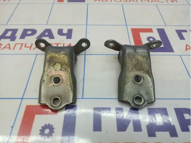 Петли двери передней левой Opel Antara (С145)