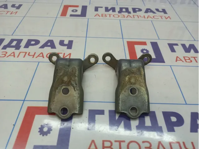 Петли двери передней правой Opel Antara (С145)
