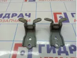 Петли двери передней правой Opel Antara (С145)