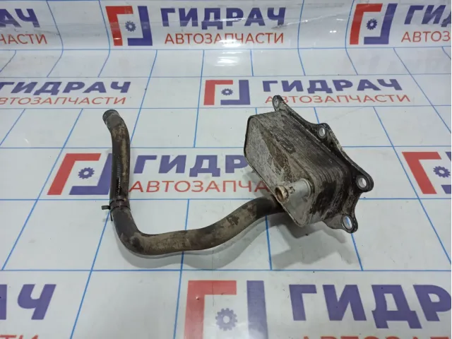 Радиатор масляный Opel Antara (С145) 96868256