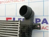 Интеркулер Opel Antara (С145) 4802129