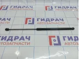 Амортизатор капота Opel Astra (H) 24465295