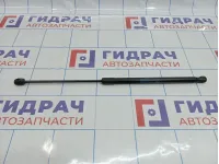 Амортизатор капота Opel Astra (H) 24465295