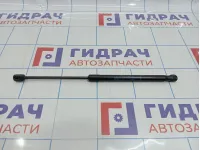 Амортизатор двери багажника Opel Astra (H) 24463829