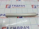 Накладка декоративная Opel Astra (H) 7209126