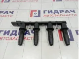 Рампа (кассета) катушек зажигания Opel Astra H 1208021