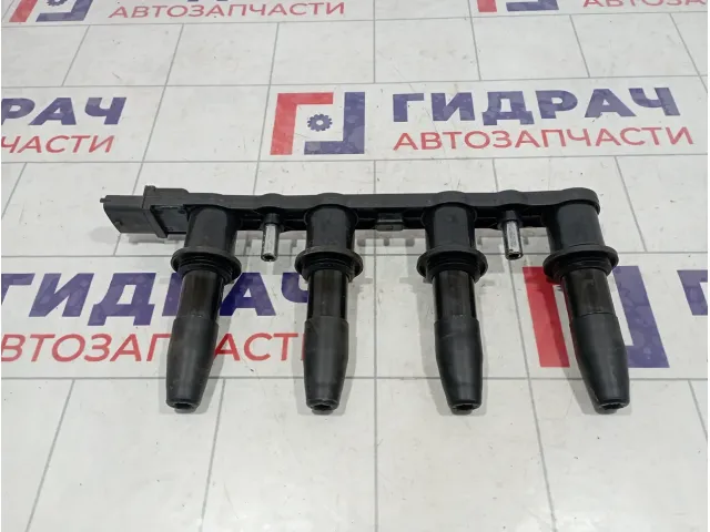 Рампа (кассета) катушек зажигания Opel Astra H 1208021