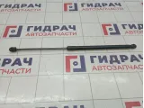 Амортизатор капота Opel Astra H 24465295