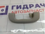 Ручка потолочная задняя левая Opel Astra (J) 5354923