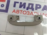 Ручка потолочная задняя левая Opel Astra (J) 5354923