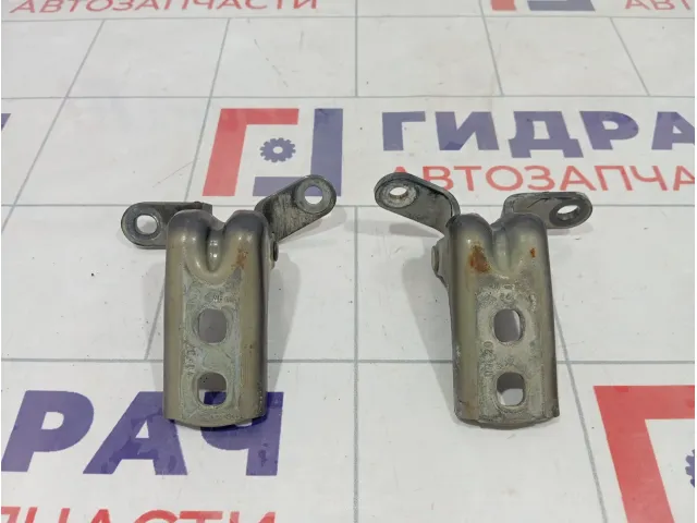 Петли двери передней левой Opel Astra (J)