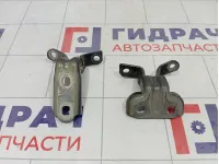 Петли двери задней левой Opel Astra (J)