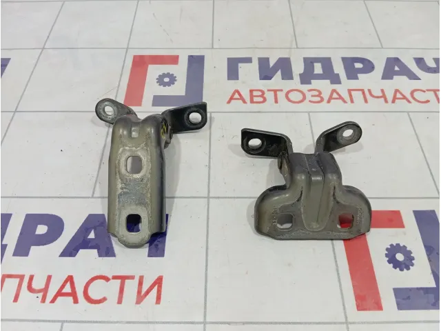 Петли двери задней левой Opel Astra (J)