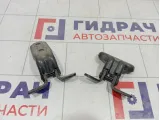 Петли двери задней левой Opel Astra (J)