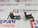 Петли двери задней левой Opel Astra (J)