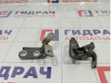 Петли двери задней правой Opel Astra (J)