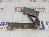 Петля капота правая Opel Astra (J) 20879203