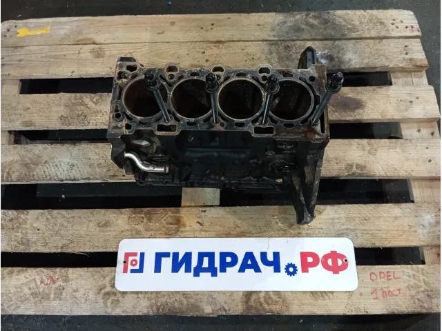 Блок двигателя Opel Astra (J) 604264