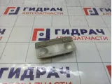 Плафон салонный Opel Astra (J) 1230155