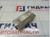 Плафон салонный Opel Astra (J) 1230155