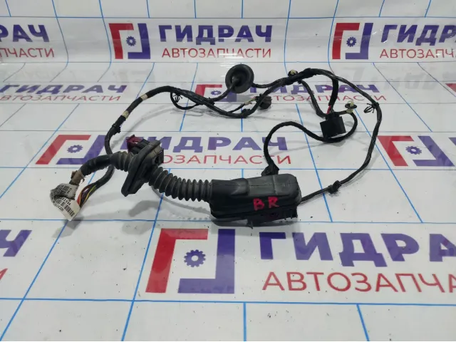 Проводка двери задней правой Opel Astra (J) 1282463