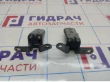 Петли двери передней левой Opel Astra (J)