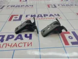 Петли двери передней левой Opel Astra (J)