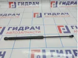 Амортизатор крышки багажника Opel Astra (J) 13379051