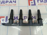 Рампа катушек зажигания Opel Astra (J) 55584404