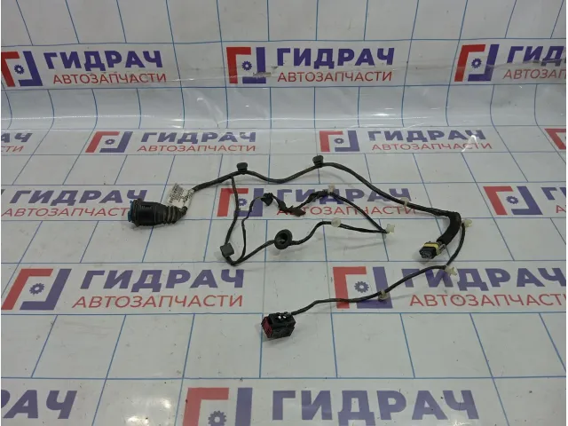 Проводка двери задней правой Opel Astra (H) 13198998