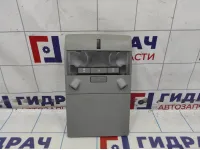 Плафон салонный Opel Astra (H) 1740269