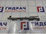 Рейка топливная (рампа) Opel Astra (H) 817185