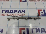 Рейка топливная (рампа) Opel Astra (H) 817185