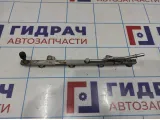 Рейка топливная (рампа) Opel Astra (H) 817185