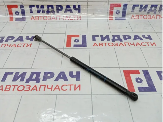 Амортизатор крышки (двери) багажника Opel Astra 132743