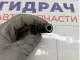 Форсунка инжекторная электрическая Opel Astra 5817429