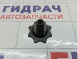 Крепление (болт) запасного колеса Opel Astra