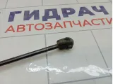 Амортизатор крышки (двери) багажника Opel Astra 132743