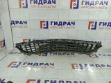 Решетка бампера передняя Opel Astra 13225758