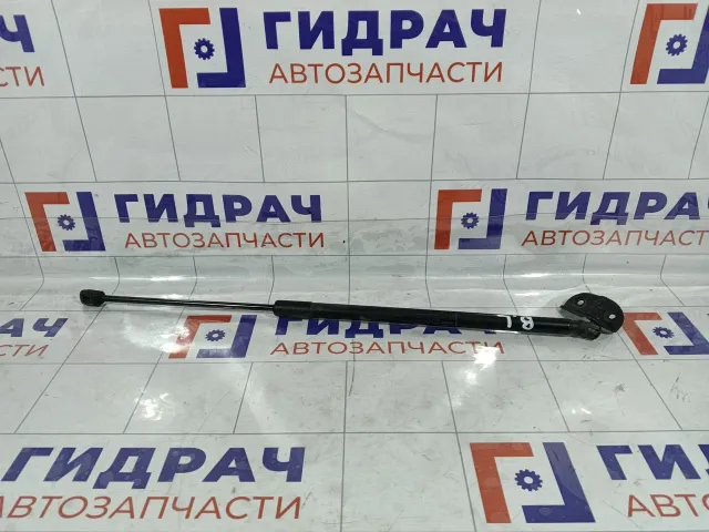 Амортизатор крышки (двери) багажника левый Opel Astra 13258179